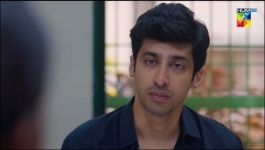 Mere Damad - Episode 28